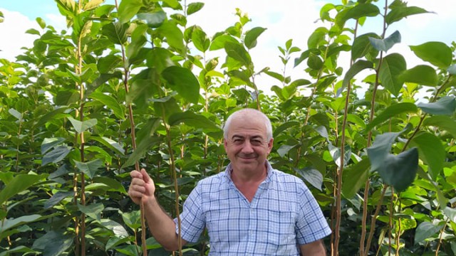 A man stands in a field surrounded by tall crops. He is holding onto one of them.