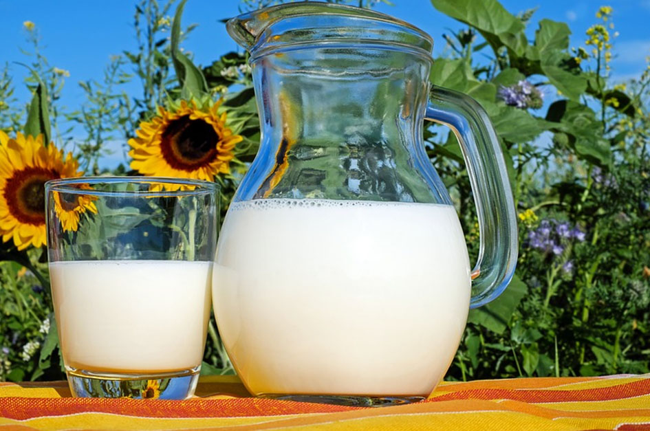 A pitcher and glass of milk sit on a towel in front of two tall sunflowers.